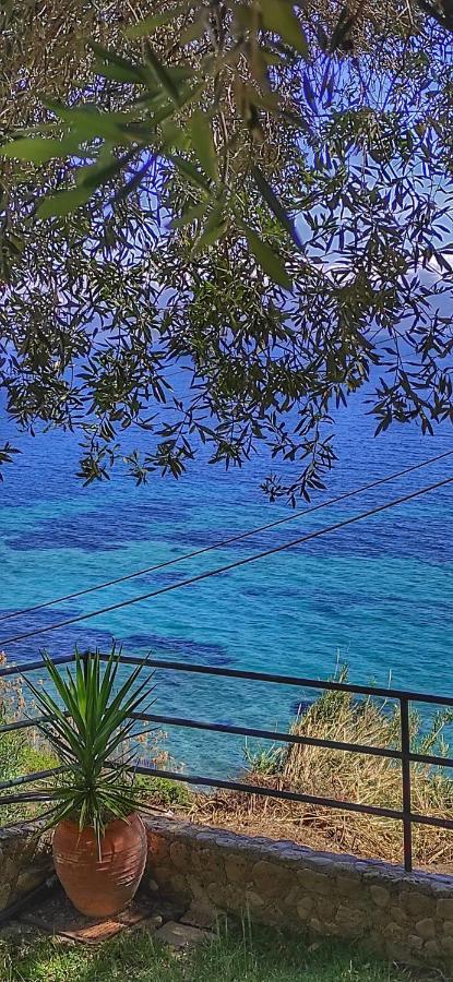Villa Fourtuna Apartment Agios Ioannis Peristerion Eksteriør bilde