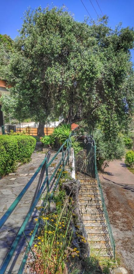 Villa Fourtuna Apartment Agios Ioannis Peristerion Eksteriør bilde