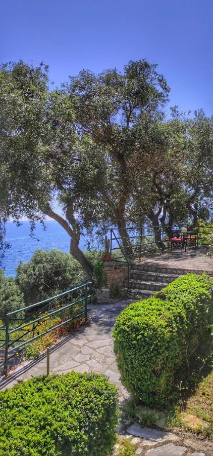Villa Fourtuna Apartment Agios Ioannis Peristerion Eksteriør bilde