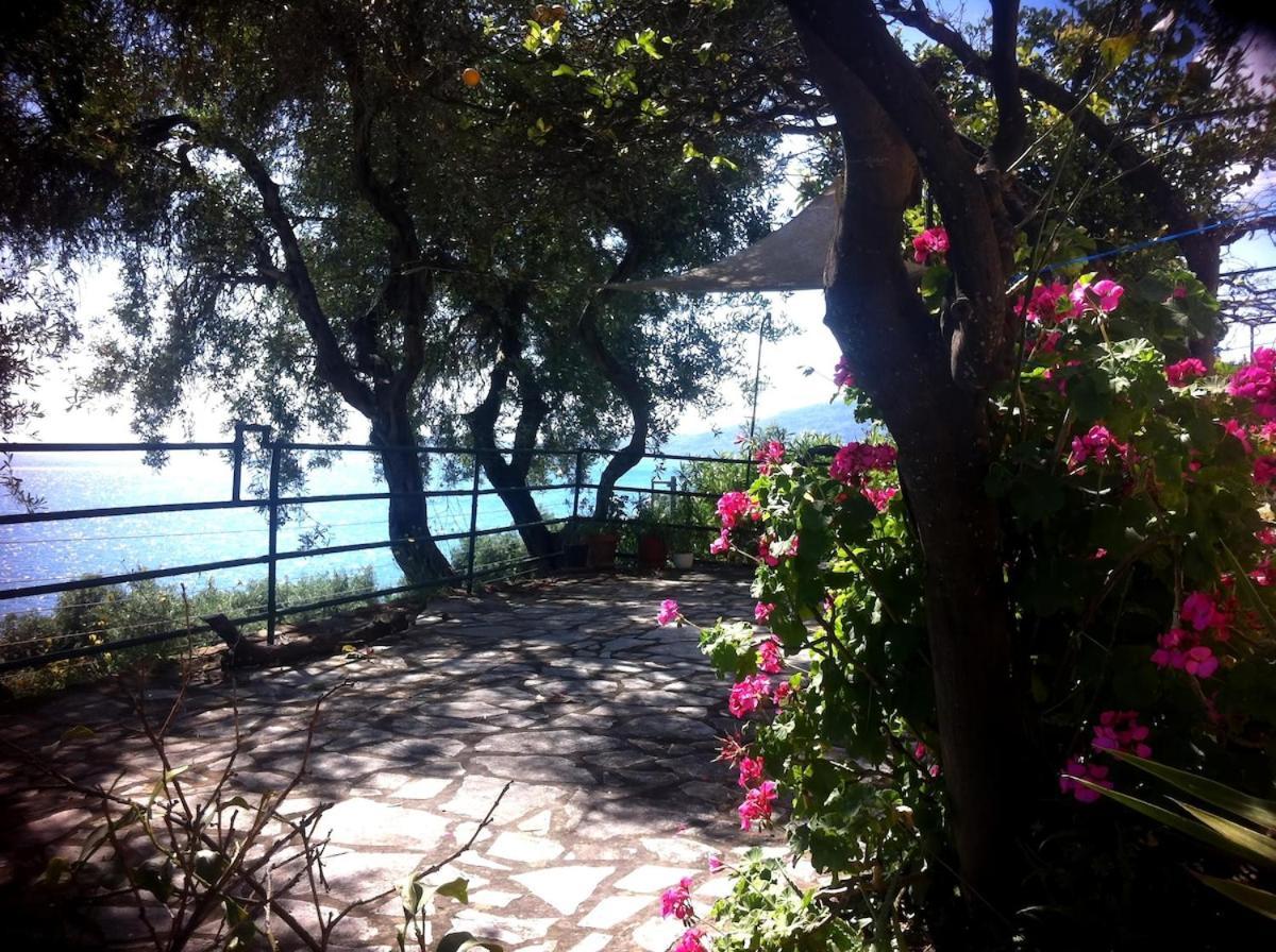 Villa Fourtuna Apartment Agios Ioannis Peristerion Eksteriør bilde