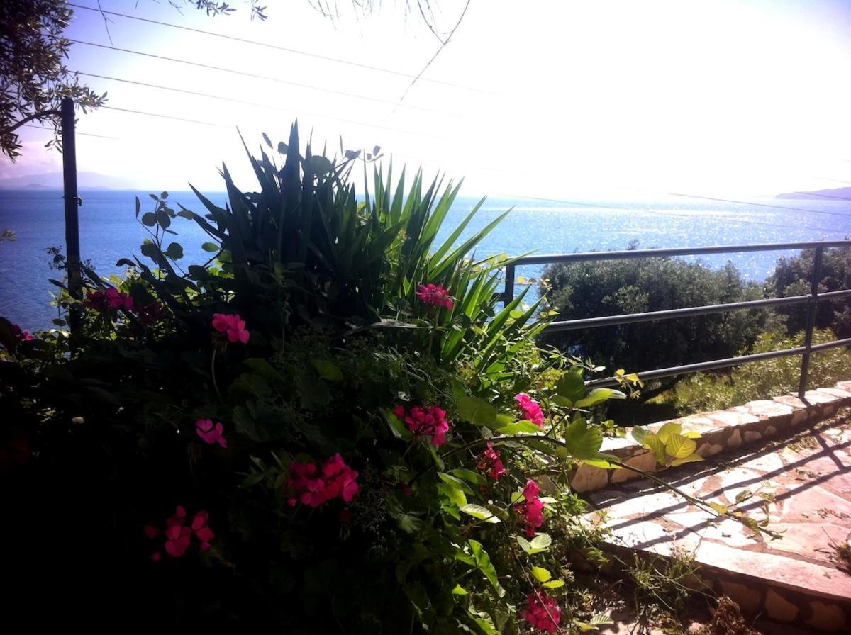 Villa Fourtuna Apartment Agios Ioannis Peristerion Eksteriør bilde