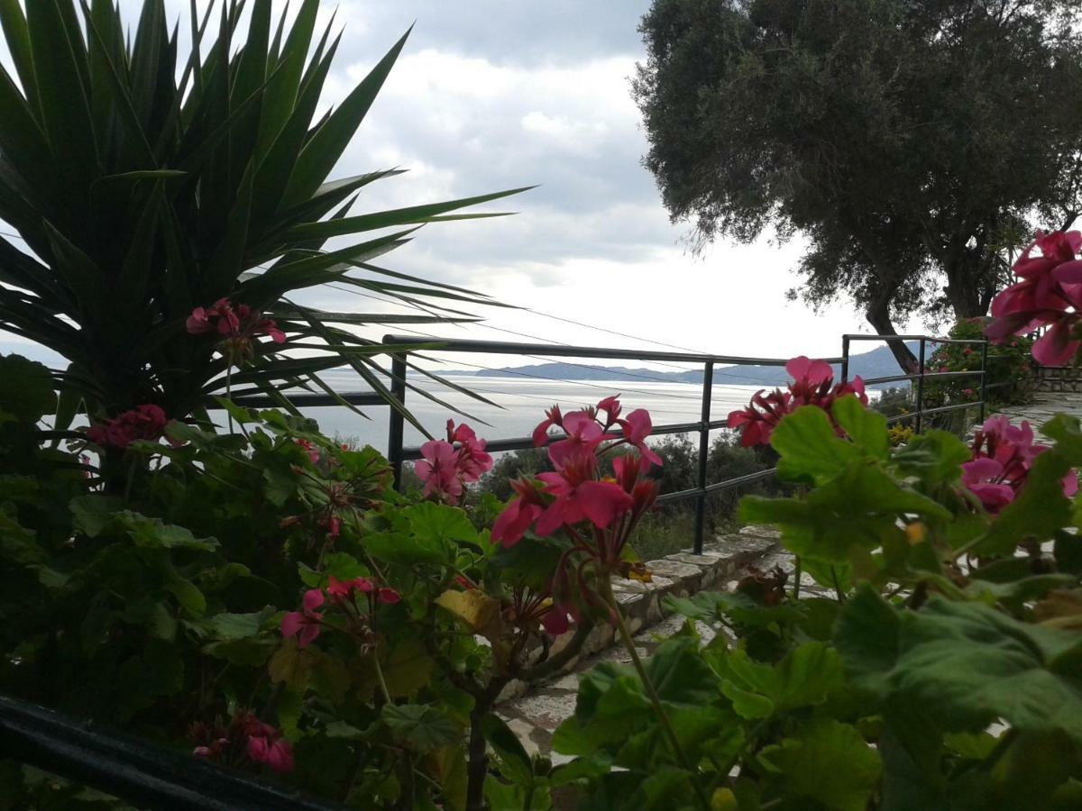 Villa Fourtuna Apartment Agios Ioannis Peristerion Eksteriør bilde
