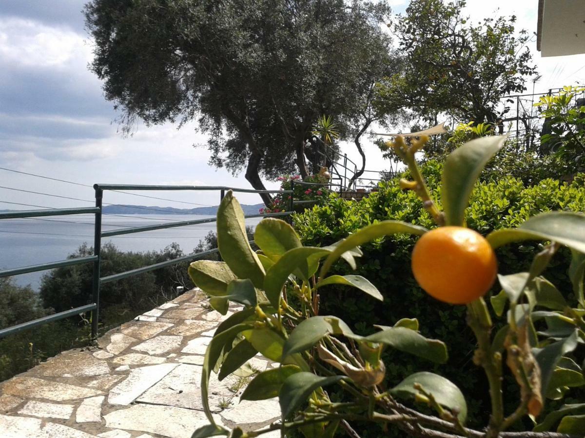 Villa Fourtuna Apartment Agios Ioannis Peristerion Eksteriør bilde